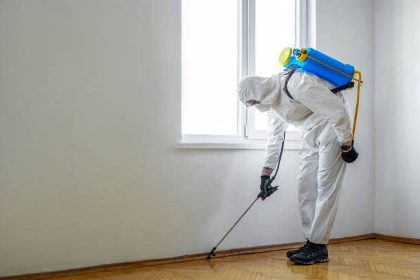 Best Commercial Pest Control Services  in Blackshear, GA